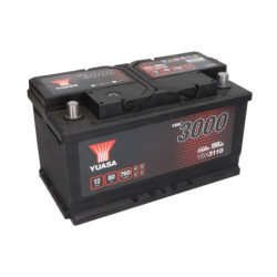 Battery YUASA YBX3110