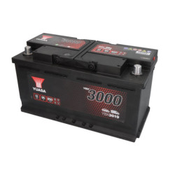 Battery YUASA YBX3019