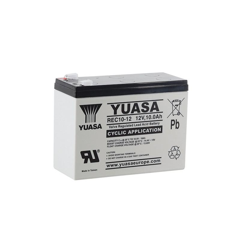 Battery YUASA REC10-12