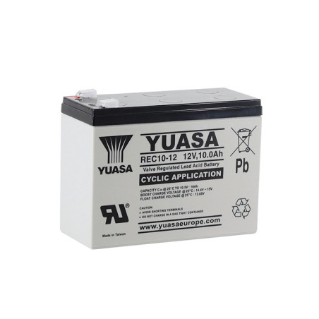 Battery YUASA REC10-12