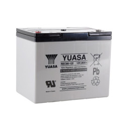 Battery YUASA REC80-12