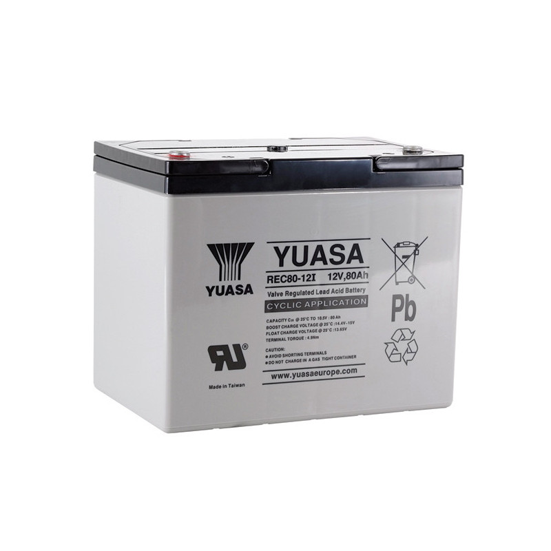 Battery YUASA REC80-12