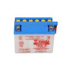 Battery YB4L-B YUASA