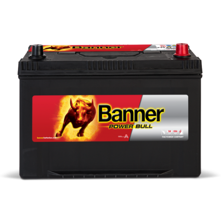 BANNER POWER BULL 95Ah 740A 303X173X225 -/+