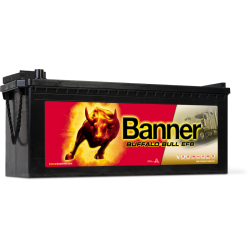 BANNER BUFFALO BULL EFB 240Ah 1200A 517X273X212/240 +/-