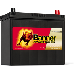 BANNER RUNNING BULL EFB 55Ah 460A 238X129X225 -/+
