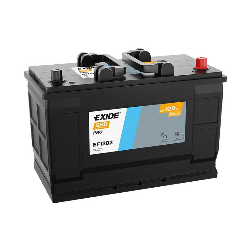 Battery EXIDE EF1202